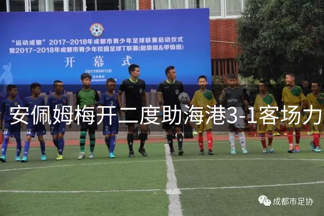 安佩姆梅开二度助海港3-1客场力克三镇