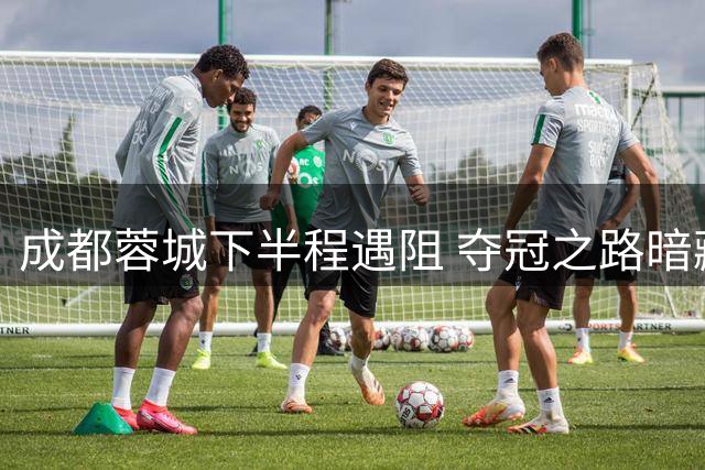 成都蓉城下半程遇阻 夺冠之路暗藏隐忧